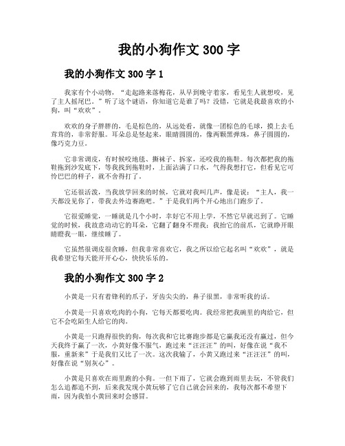 我的小狗作文300字