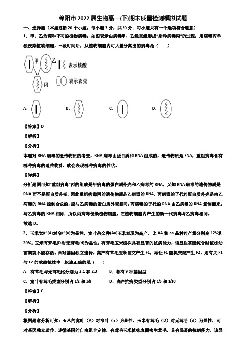 绵阳市2022届生物高一(下)期末质量检测模拟试题含解析