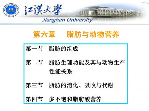 第6章 脂肪与动物营养21
