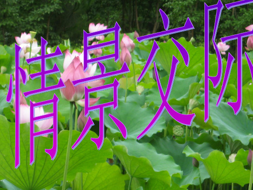 中考英语_常用交际用语讲解及练习