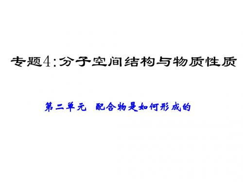 高二化学配合物是如何形成的(中学课件2019)