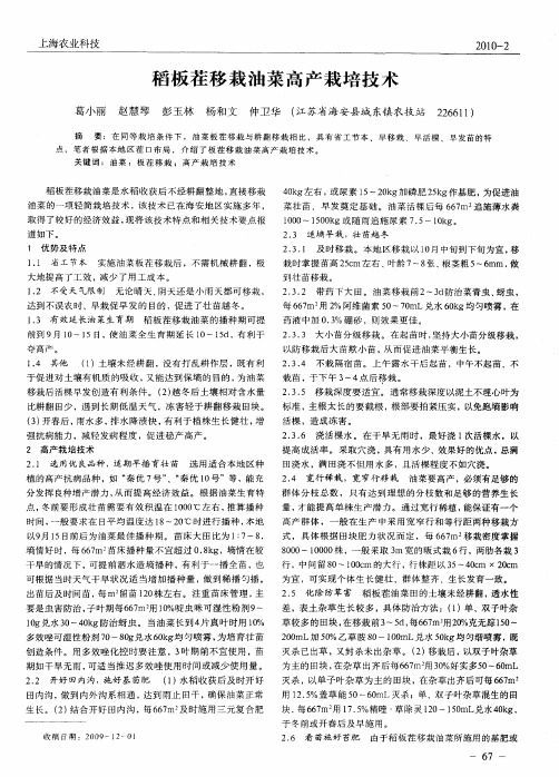 稻板茬移栽油菜高产栽培技术