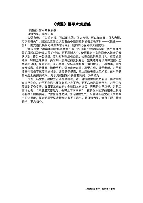 《镜鉴》警示片观后感