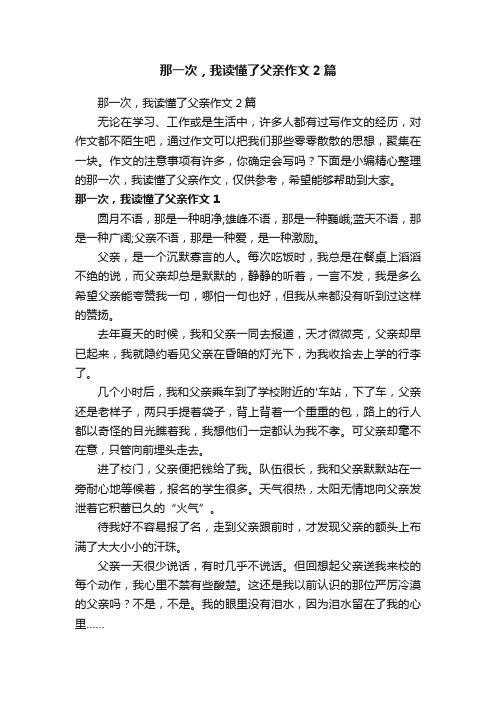 那一次，我读懂了父亲作文2篇