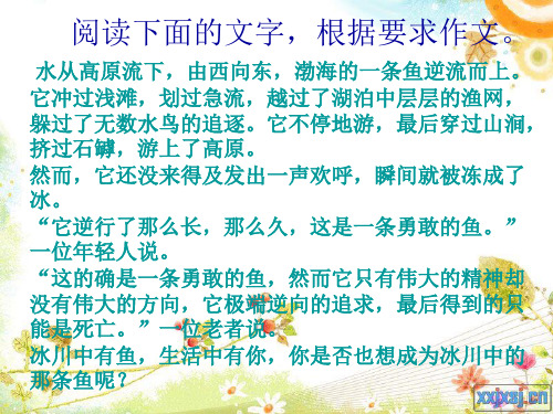 渤海的鱼  作文指导