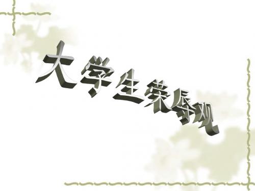 大学生荣辱观问题
