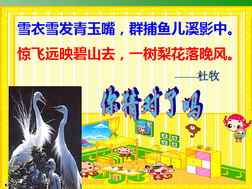 初中语文苏教版九年级上册第四单元第13课《散文家谈散文》课件
