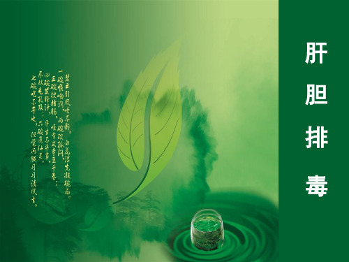 肝胆肠排毒