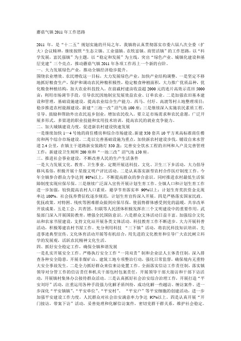 2011年发展思路和重要工作举措