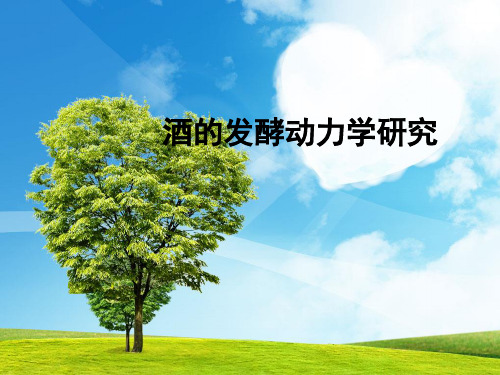 酒的发酵动力学研究
