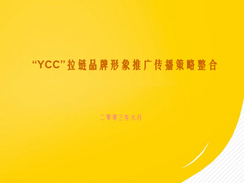 YCC拉链推广策略规划案优秀文档
