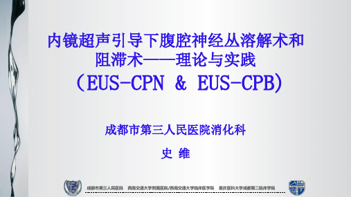 内镜超声引导下腹腔神经丛溶解术和阻滞术