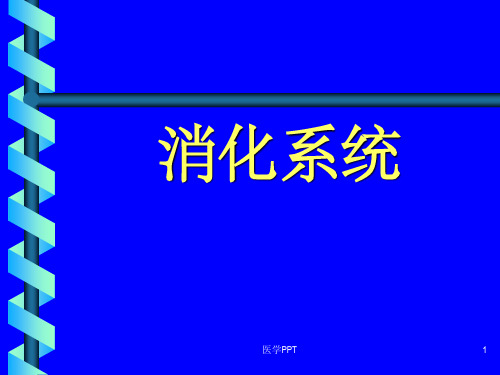 《消化系腹膜》PPT课件
