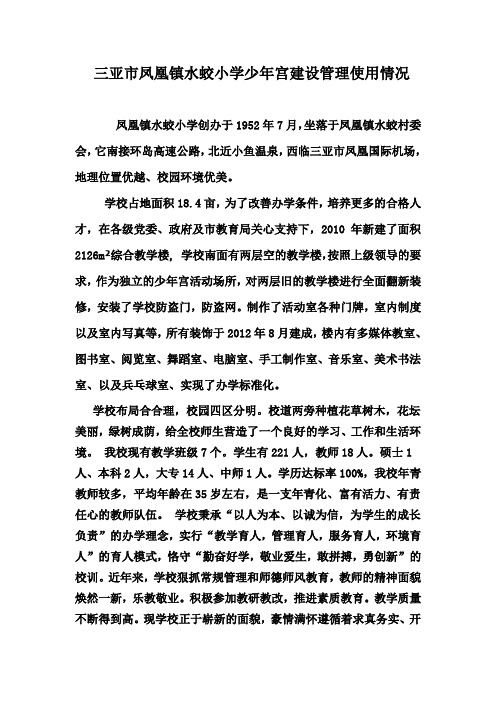 三亚市凤凰镇水蛟小学少年宫使用情况