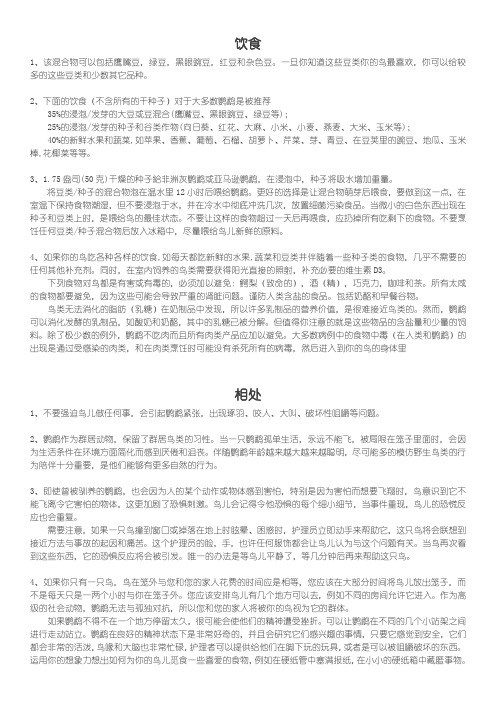 灰鹦鹉 养育 总结
