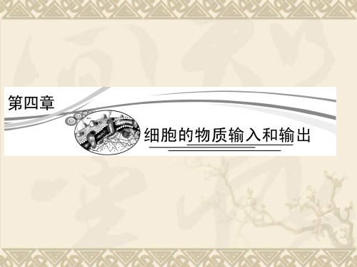 届高三生物一轮复习课件第四章 细胞的物质输入和输出(人教版必修1)