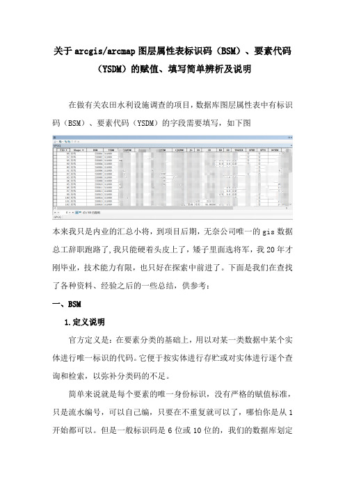 关于arcgisarcmap图层属性表标识码(BSM)、要素代码(YSDM)的赋值填写简单辨析及说明