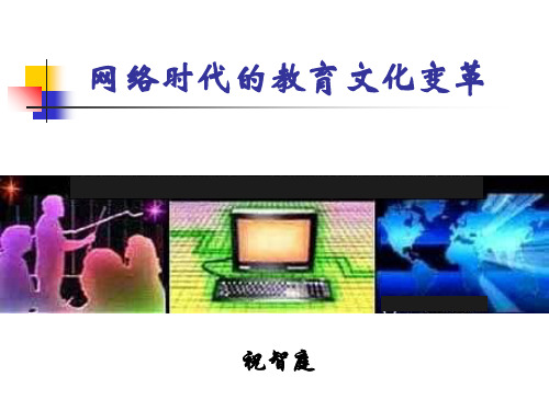网络时代的教育文化变革 X 精简