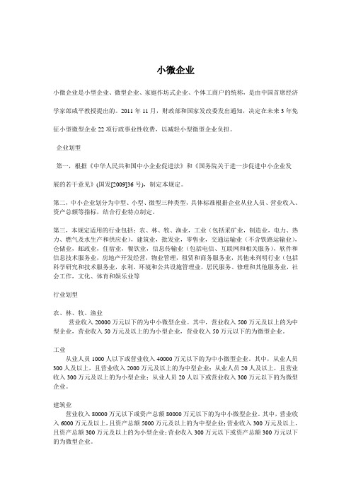 小微企业说明