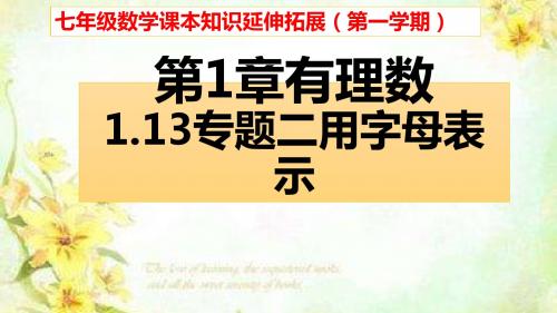 强烈推荐七年级数学第一学期第一章有理数1.13专题二用字母表示(图文详解含答案)