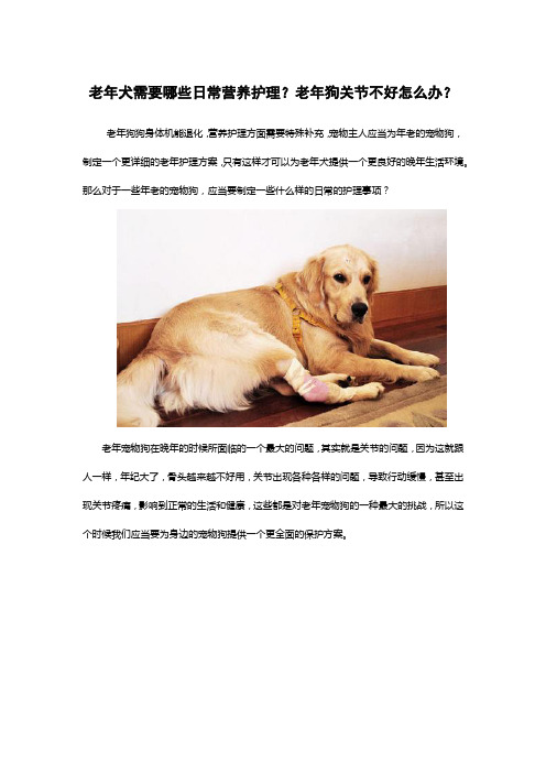 老年犬需要哪些日常营养护理？老年狗关节不好怎么办？