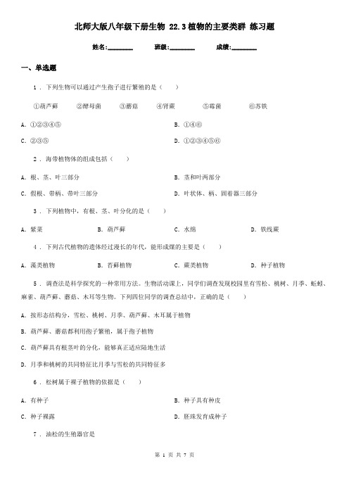 北师大版八年级下册生物 22.3植物的主要类群 练习题