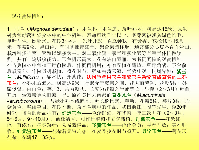 观花赏果树种