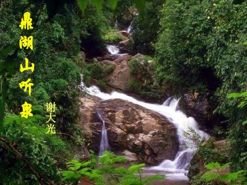 鼎湖山听泉