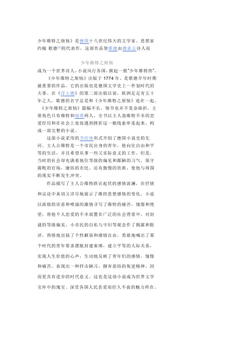 少年维特之烦恼