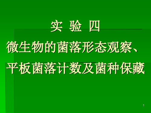 微生物的菌落形态观察平板菌落计数及菌种保藏PPT精选文档