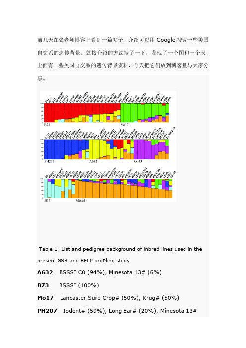 美国玉米自交系