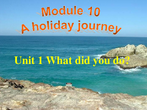 外研英语 七下 Module10 Unit1 What did you do 课件(共14张PPT)