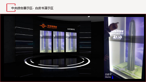 白皮书互动展示内容