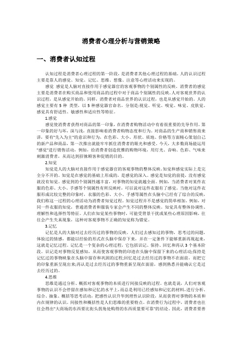 电子商务专业小论文 消费心理学大作业：消费者心理分析与营销策略