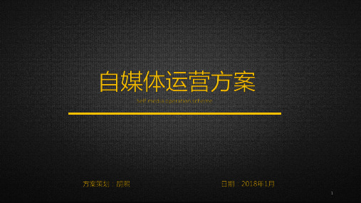 自媒体运营方案PPT幻灯片课件