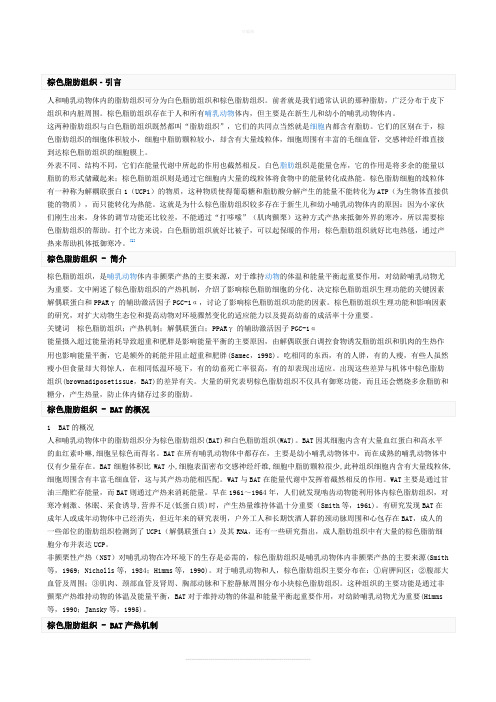 棕色脂肪组织