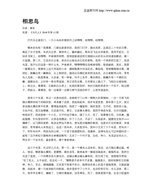 相思鸟