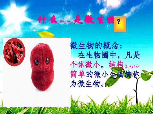 八年级生物上册 第5单元 第1章 第1节《细菌》课件 冀教级上册生物课件