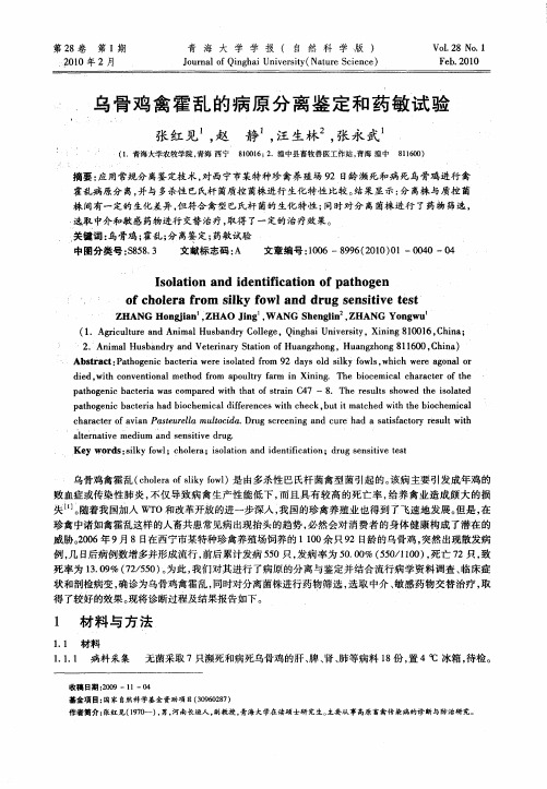 乌骨鸡禽霍乱的病原分离鉴定和药敏试验
