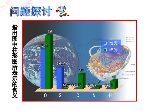 (完整)精品细胞中的元素和无机化合物精品PPT资料精品PPT资料