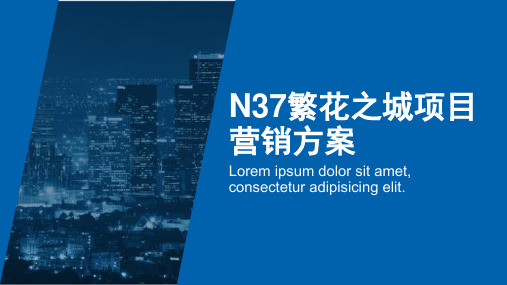 N37繁花之城商业项目营销方案