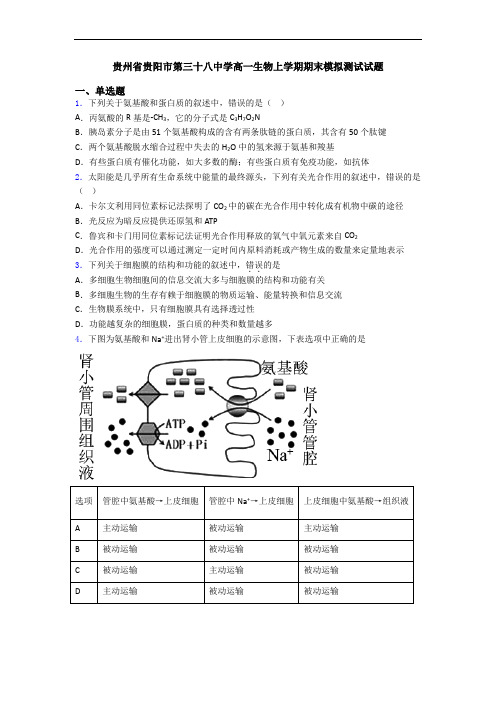 贵州省贵阳市第三十八中学高一生物上学期期末模拟测试试题
