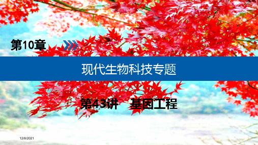 高考生物大一轮复习第43讲基因工程优选课件高三全册生物课件