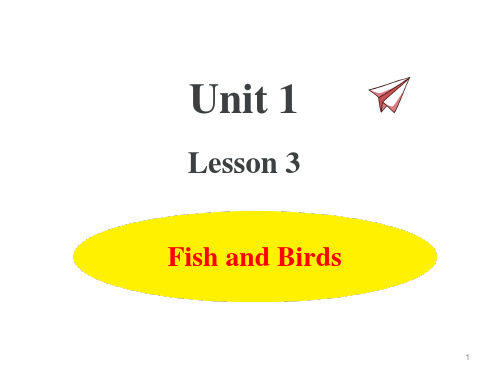 三年级下册英语课件Unit1 Lesson3 Fish and Birds(共15张PPT)冀教版