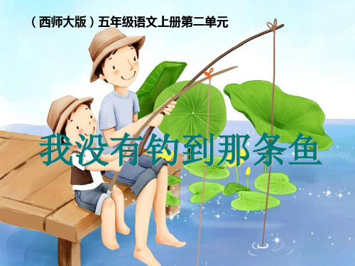 《我没有钓到那条鱼》 精选优质课件