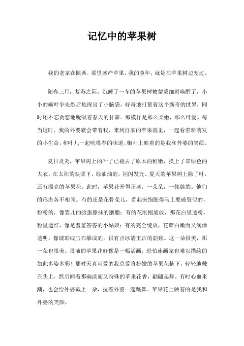 记忆中的苹果树