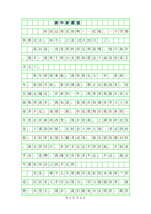 2019年新年新愿望作文500字