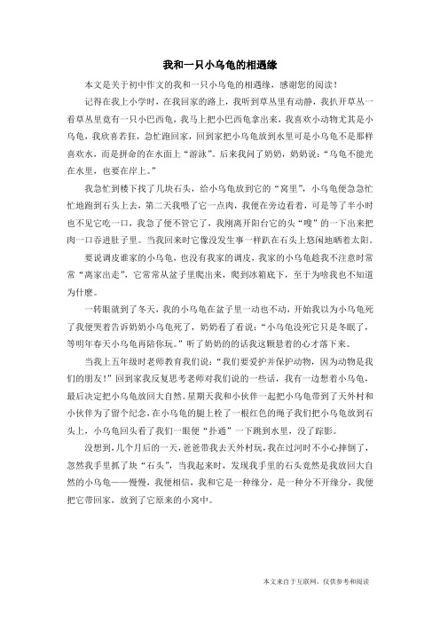 我和一只小乌龟的相遇缘_初中作文