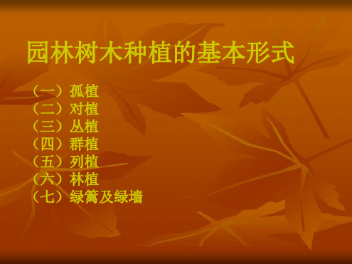 园林树木种植的基本形式.ppt