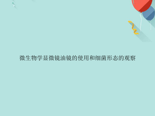微生物学显微镜油镜的使用和细菌形态的观察PPT[优选版]